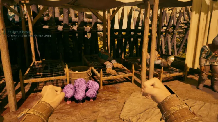 กองทหารพาราดิส