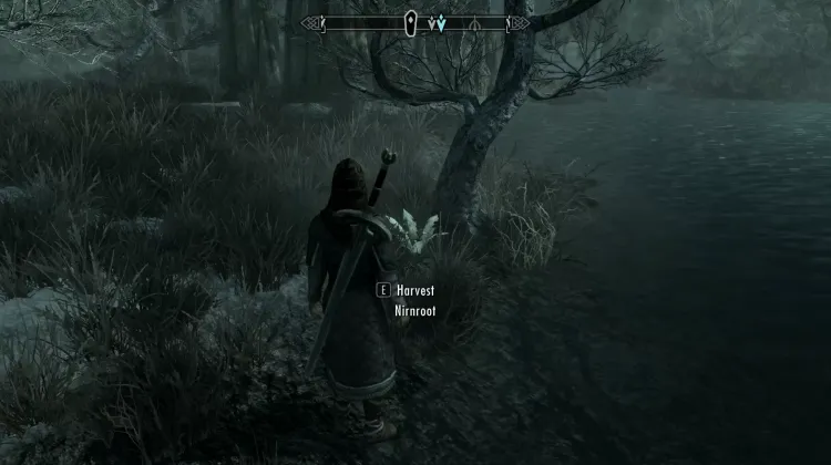 Nirnroot