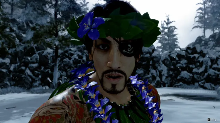 स्नोव्यू द्वीप