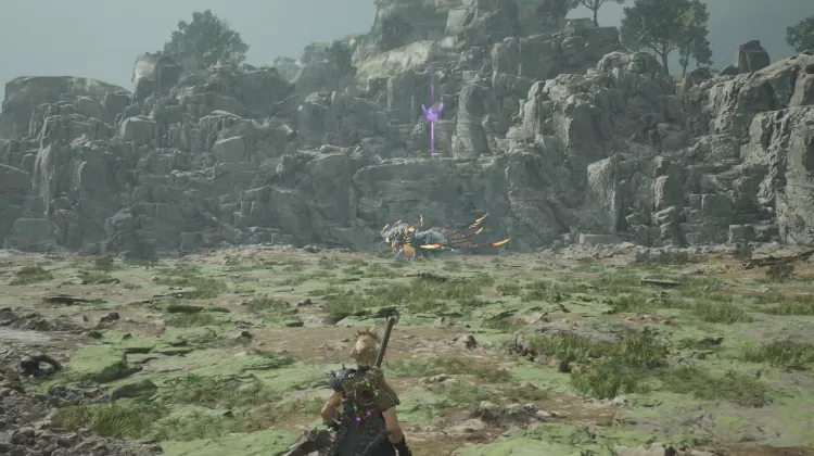 Pirate King's Grotto γ