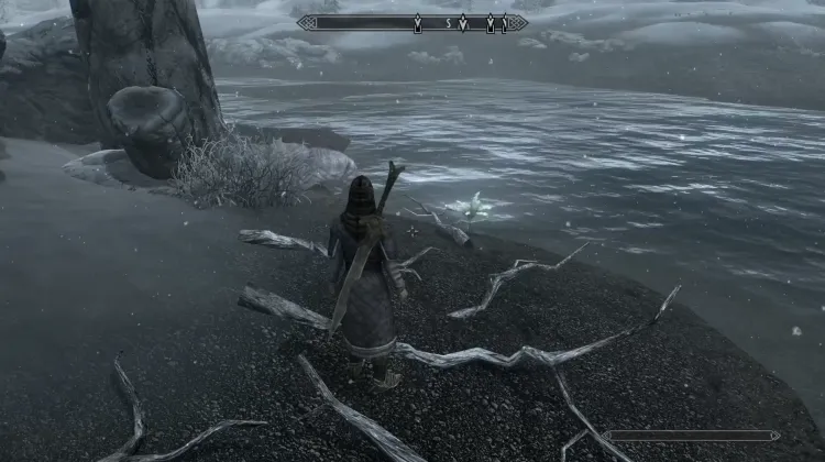 Nirnroot
