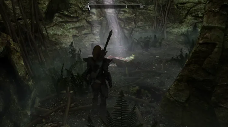 The Black Arrow, Book II