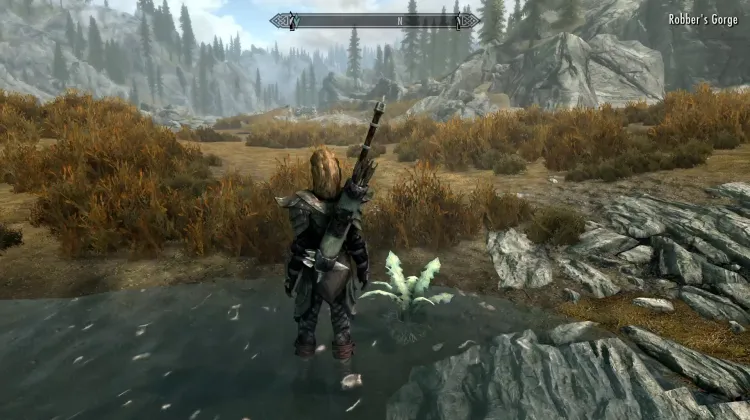 Nirnroot