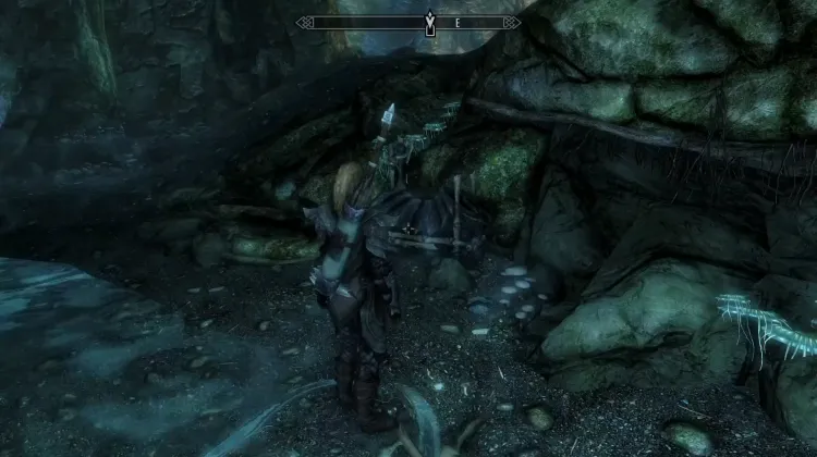 Falmer's Chest