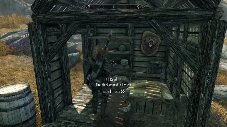 The Marksmanship Lesson