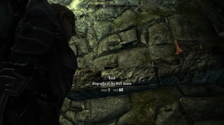 Biography of the Wolf Queen