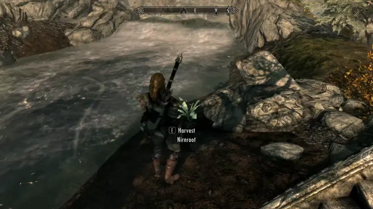 Nirnroot
