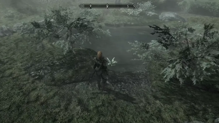 Nirnroot