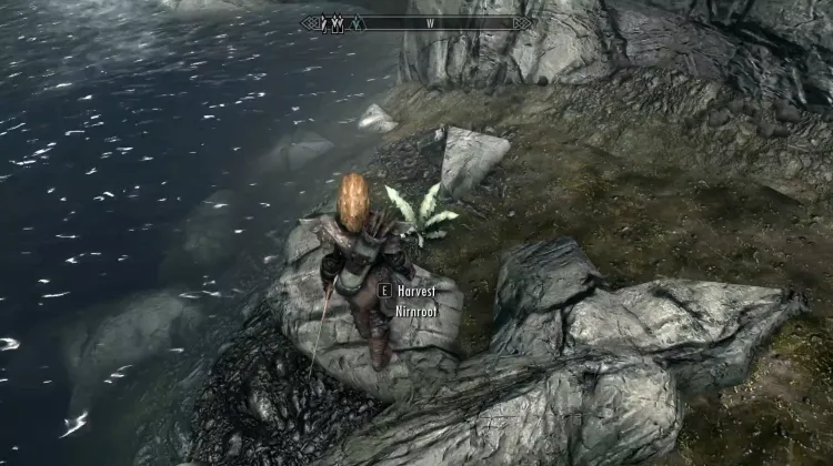 Nirnroot
