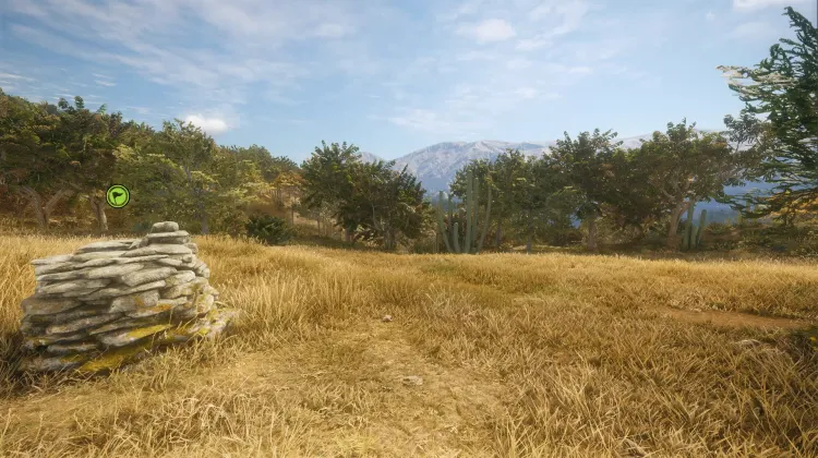 Conservation in the Borderlands