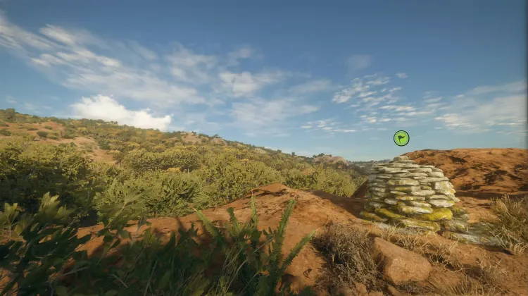 Indigenous Peoples of Sonora