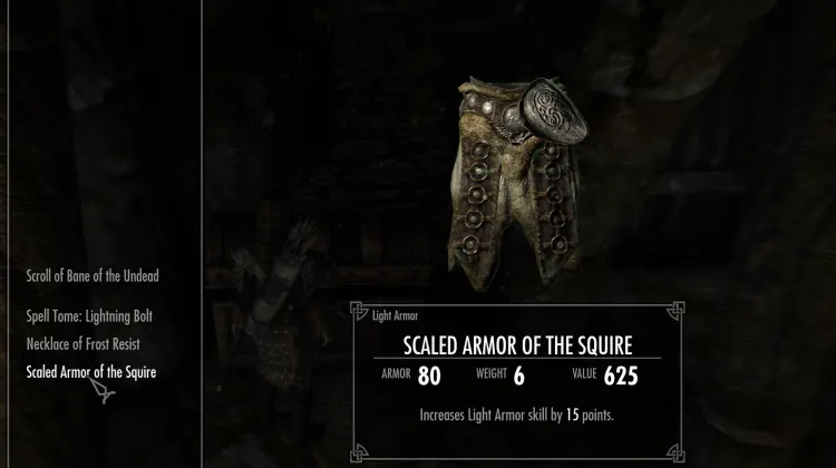 Scaled armor of the squire