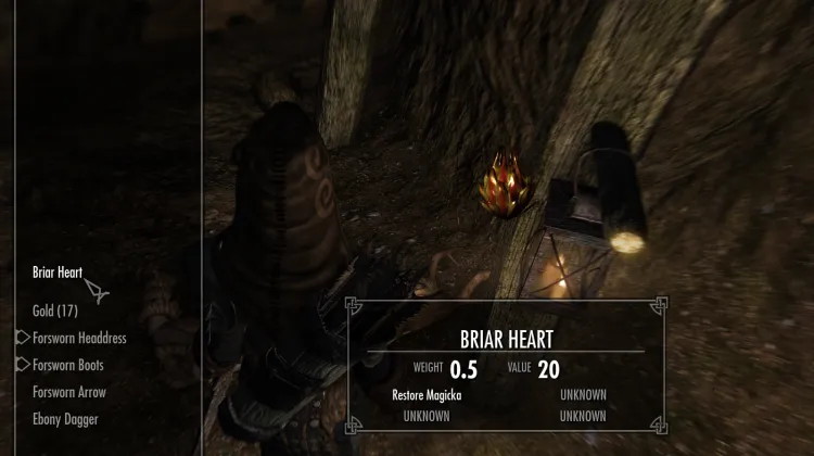 Briar Heart
