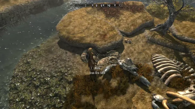 Filon de minerai de fer