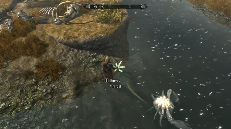 Nirnroot