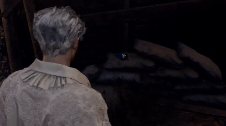 ทรัพยากร (S)