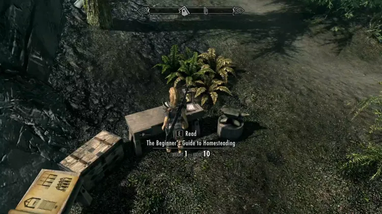 The Beginner's Guide to Homesteading