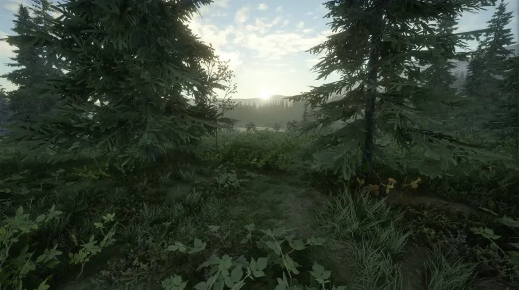 The Rush To The Yukon