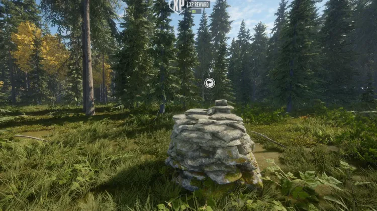 Alaska's Spruce Beetle Quandary