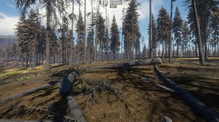 Yukon Valley Wildfires