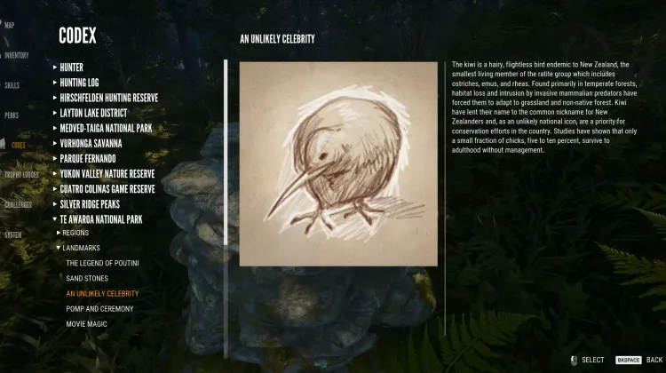 An Unlikely Celebrity