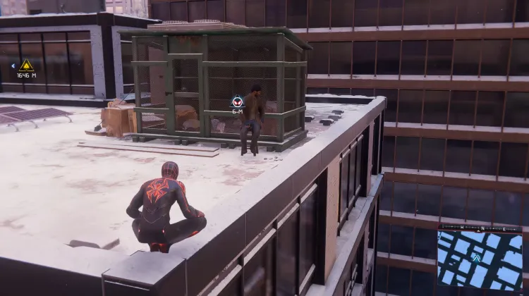 Can't Find my Pigeons