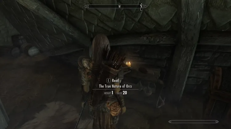 दुर्लभ पुस्तकें