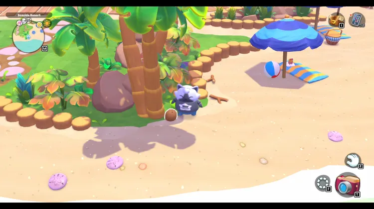 ต้นมะพร้าว