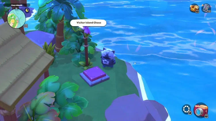 Visitor Island Chase