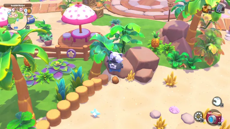 ต้นมะพร้าว