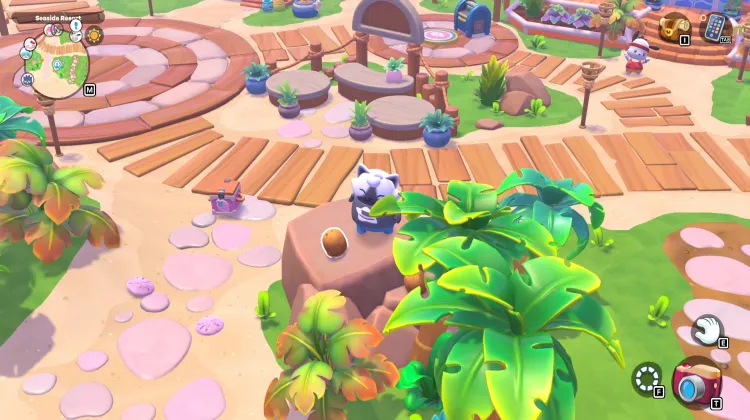 ต้นมะพร้าว