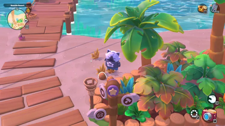 ต้นมะพร้าว