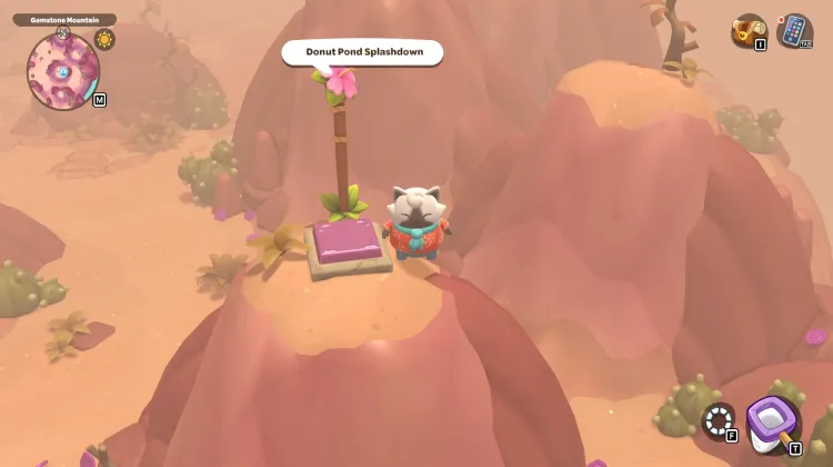 Donut Pond Splashdown