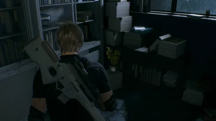 पीला जड़ी-बूटी