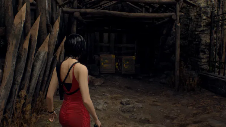 क्रेट (2x)