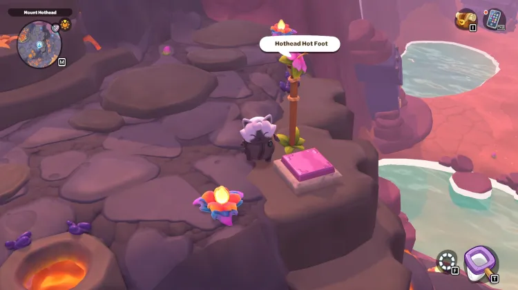 불꽃머리 뜨거운 발