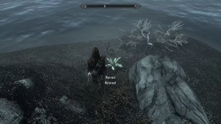 Nirnroot