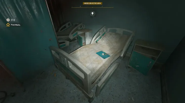 X13 Medical Chart - Wayne