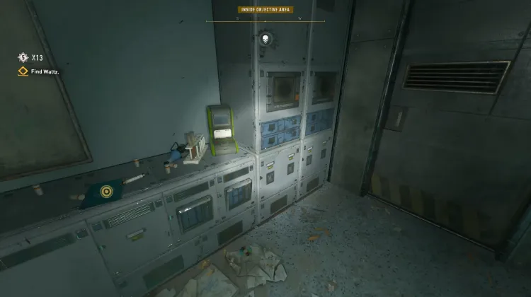 X13 Medical Chart: Petra