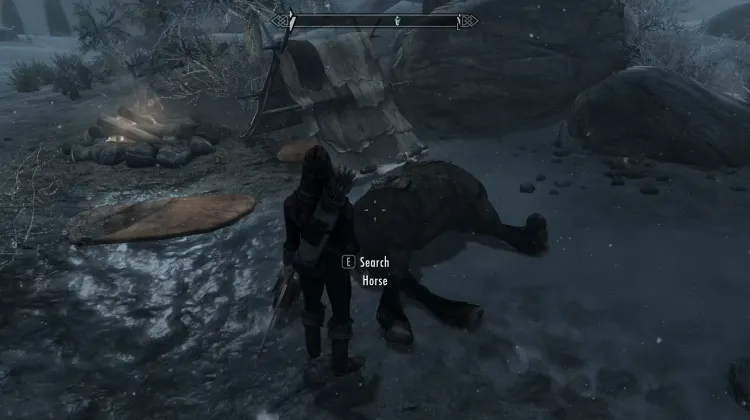 Camp with a Dead Horse