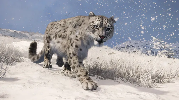 Snow Leopard