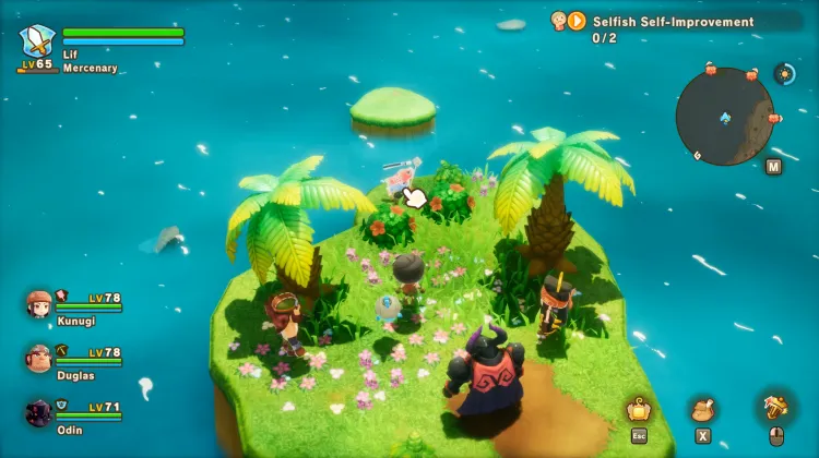 Graceful Carp Banner