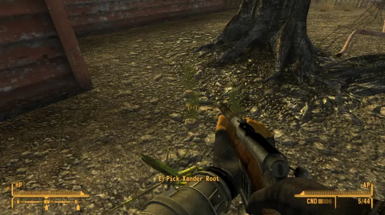 ข้างกองไฟบนเส้นทาง (II)