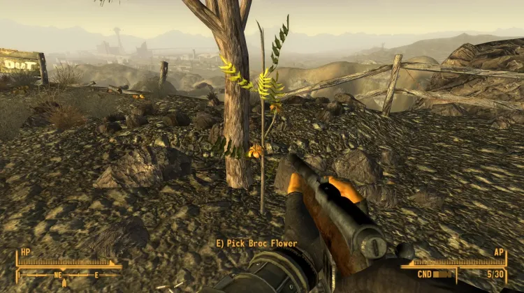 ข้างกองไฟในเส้นทาง (III)