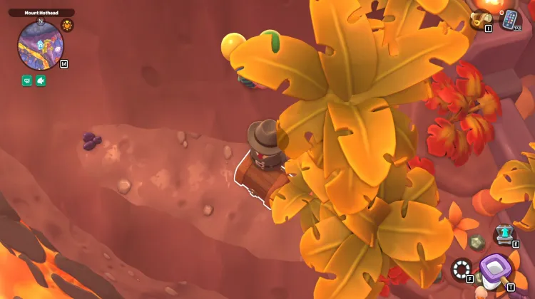 लकड़ी की पेटी