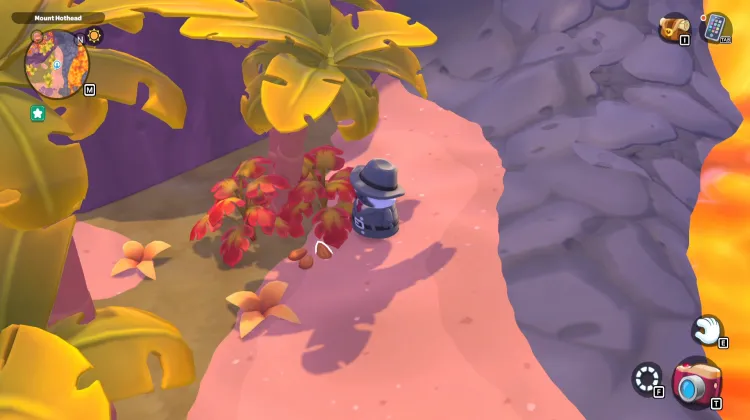 भुने हुए बादाम