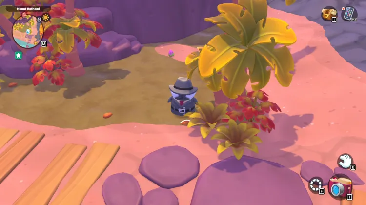 भुने हुए बादाम