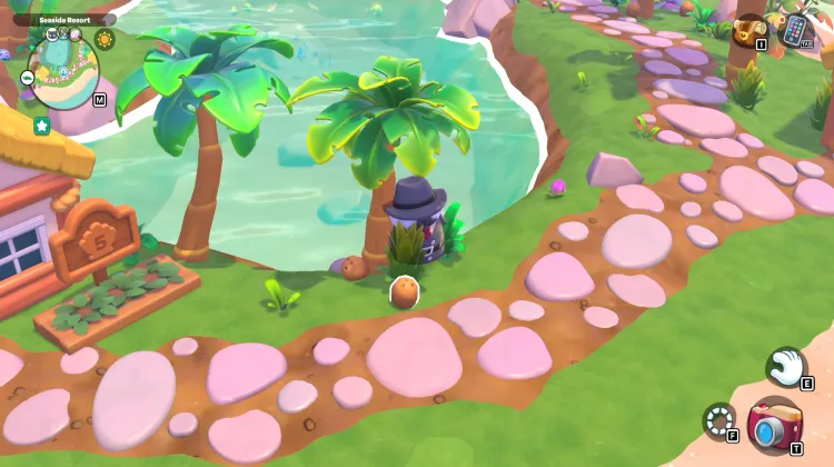 ต้นมะพร้าว