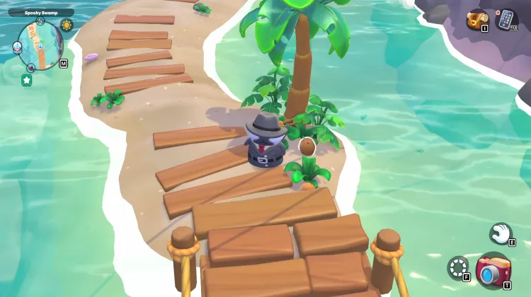 ต้นมะพร้าว