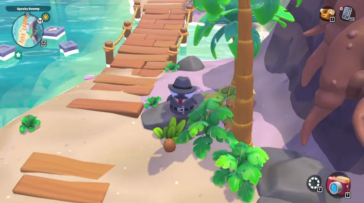 ต้นมะพร้าว